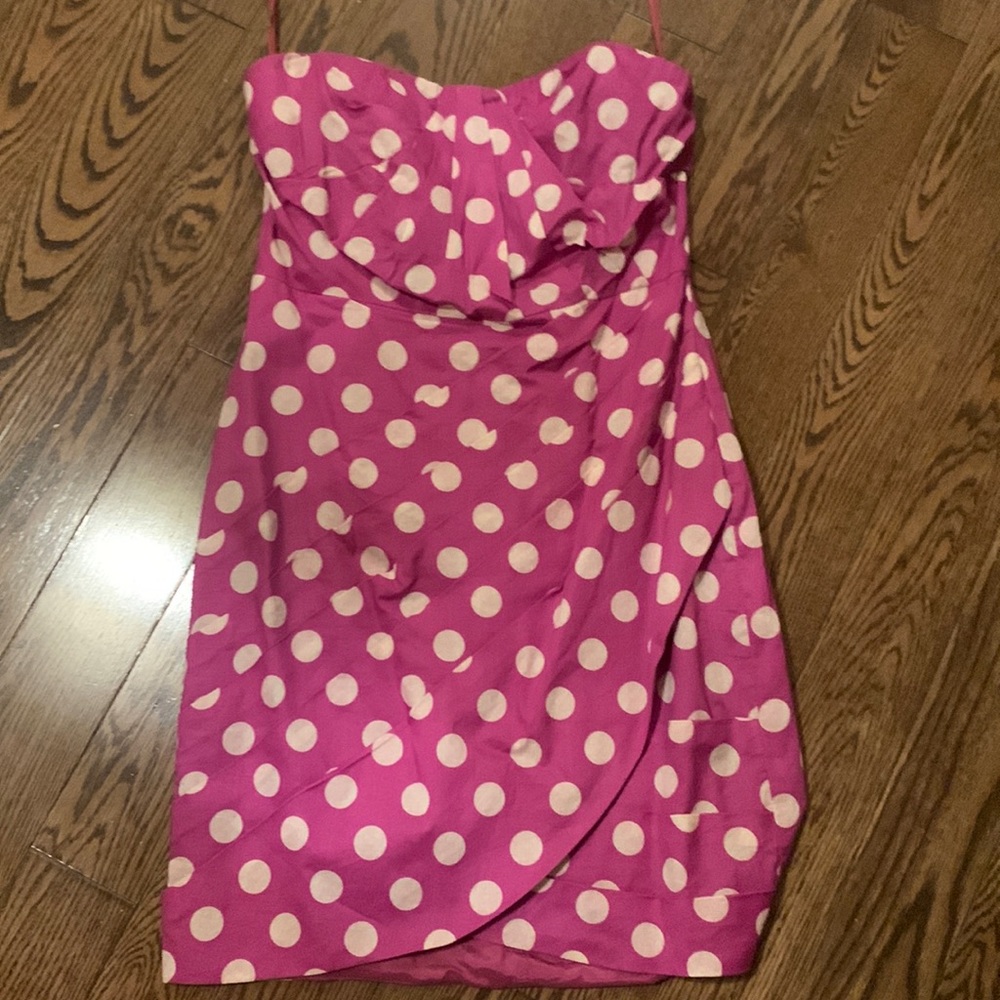 Never worn leifsdottir size 0 polka dot dress